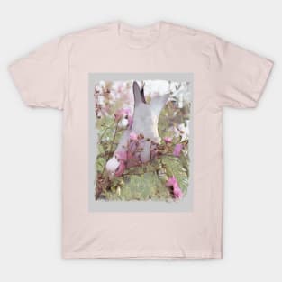 Galah, Australia. T-Shirt